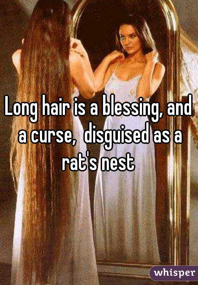Long hair is a blessing, and a curse,  disguised as a rat's nest 