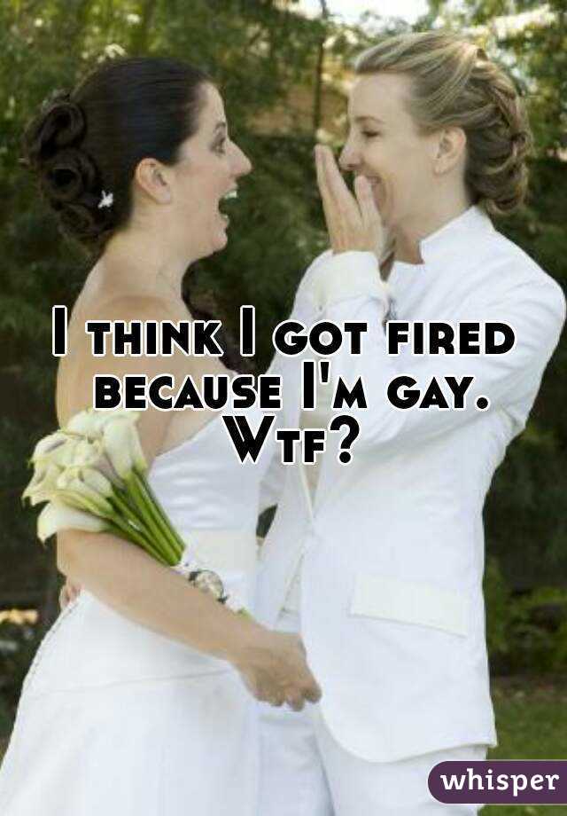 I think I got fired because I'm gay. Wtf?