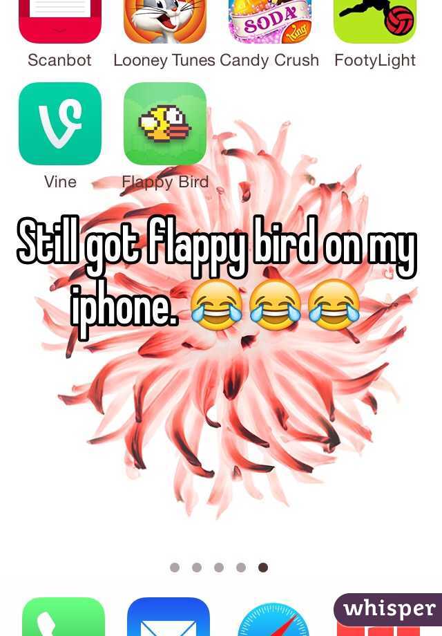 Still got flappy bird on my iphone. 😂😂😂