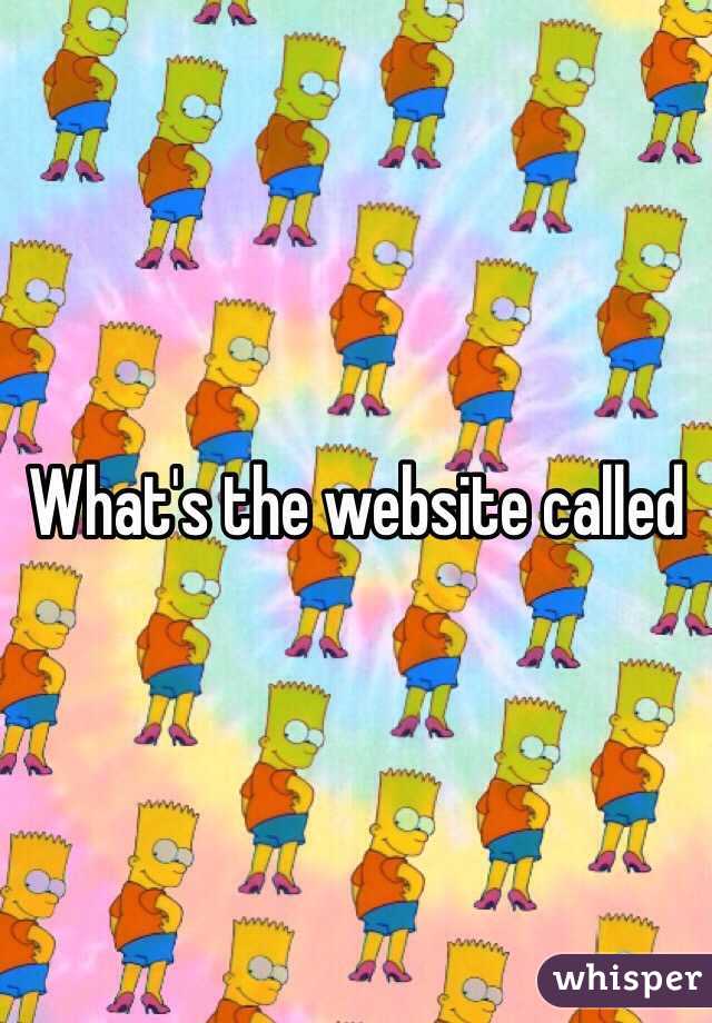 What's the website called