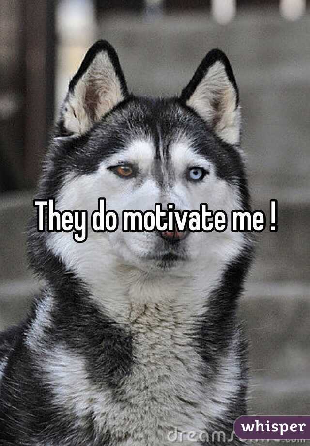They do motivate me ! 