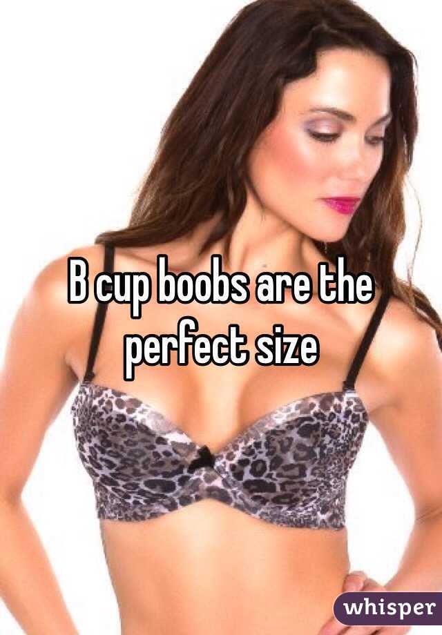 B cup boobs are the perfect size