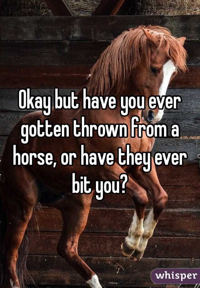 Okay but have you ever gotten thrown from a horse, or have they ever bit you?  
