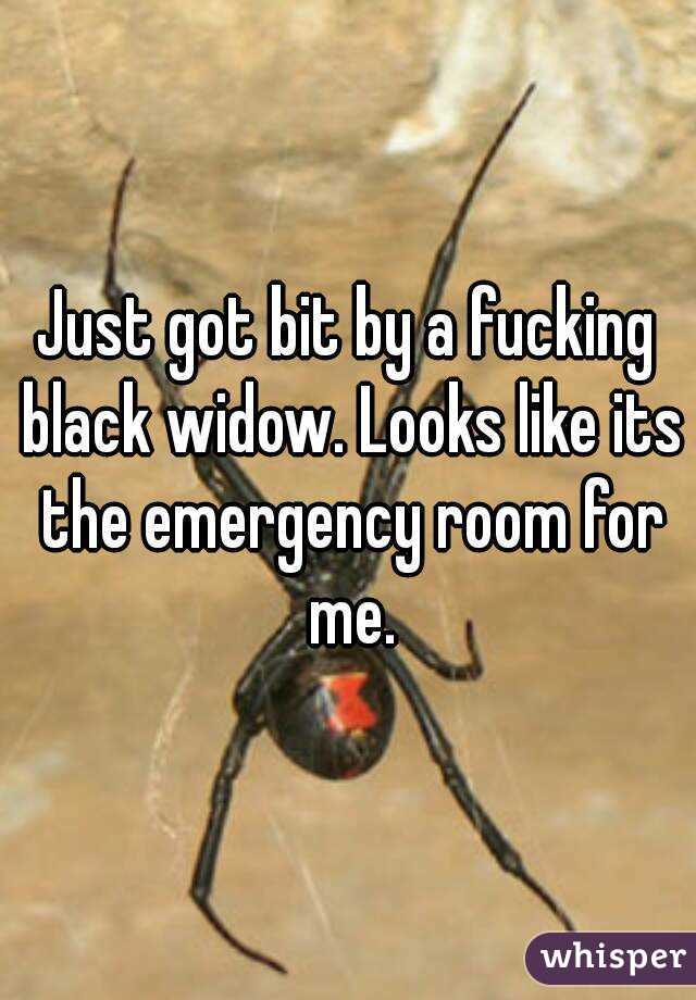 Just got bit by a fucking black widow. Looks like its the emergency room for me.