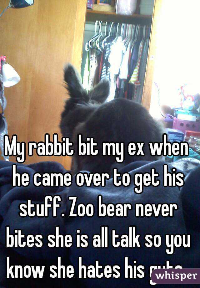 My rabbit bit my ex when he came over to get his stuff. Zoo bear never bites she is all talk so you know she hates his guts. 