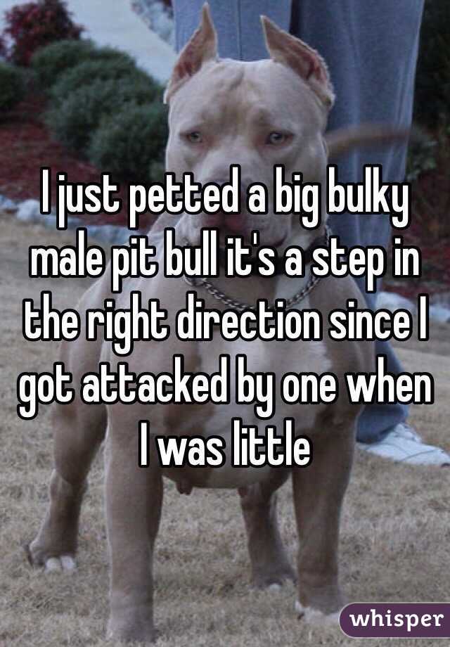 I just petted a big bulky male pit bull it's a step in the right direction since I got attacked by one when I was little