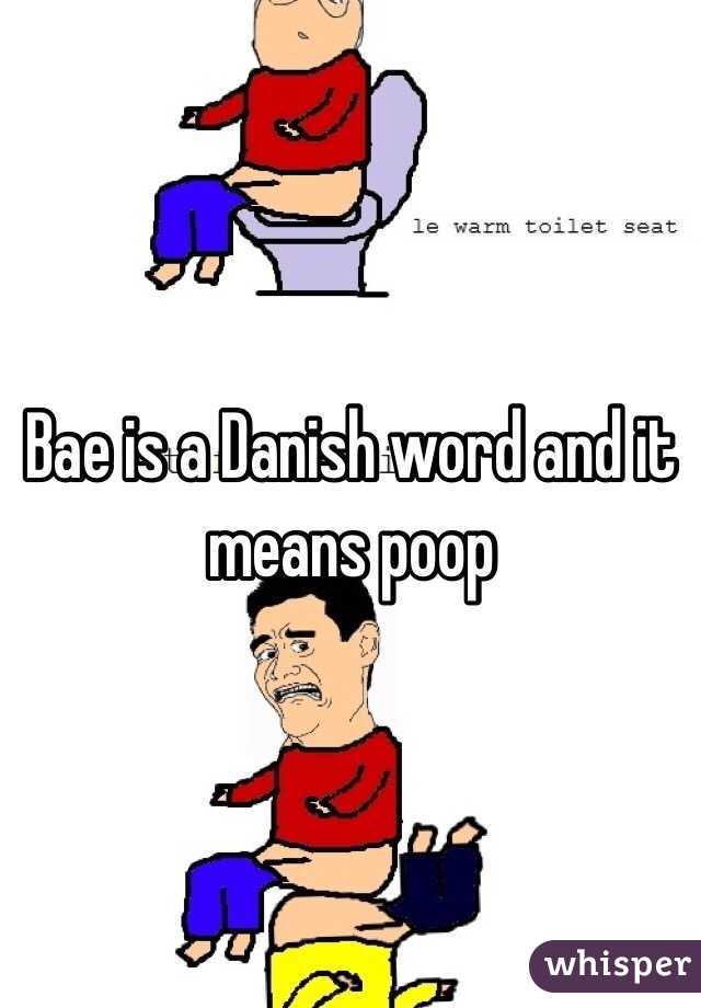 Bae is a Danish word and it means poop