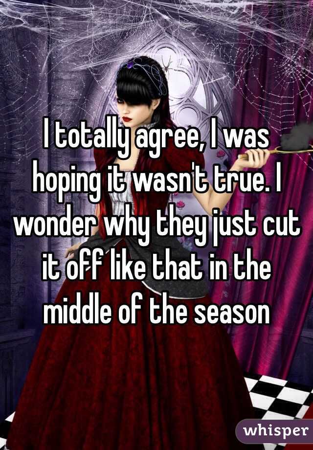 I totally agree, I was hoping it wasn't true. I wonder why they just cut it off like that in the middle of the season 