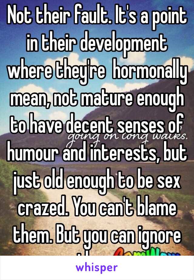 Not their fault. It's a point in their development where they're  hormonally mean, not mature enough to have decent senses of humour and interests, but just old enough to be sex crazed. You can't blame them. But you can ignore them.