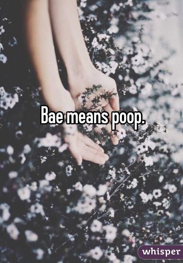 Bae means poop. 