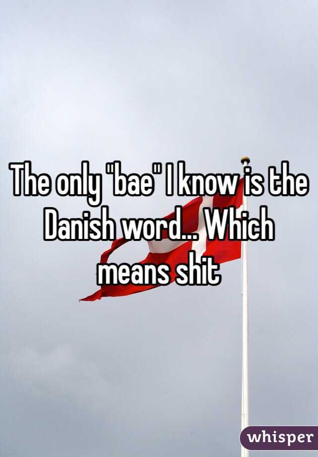 The only "bae" I know is the Danish word... Which means shit