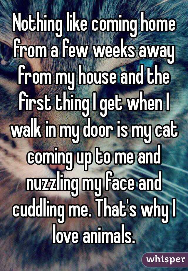 Nothing like coming home from a few weeks away from my house and the first thing I get when I walk in my door is my cat coming up to me and nuzzling my face and cuddling me. That's why I love animals. 