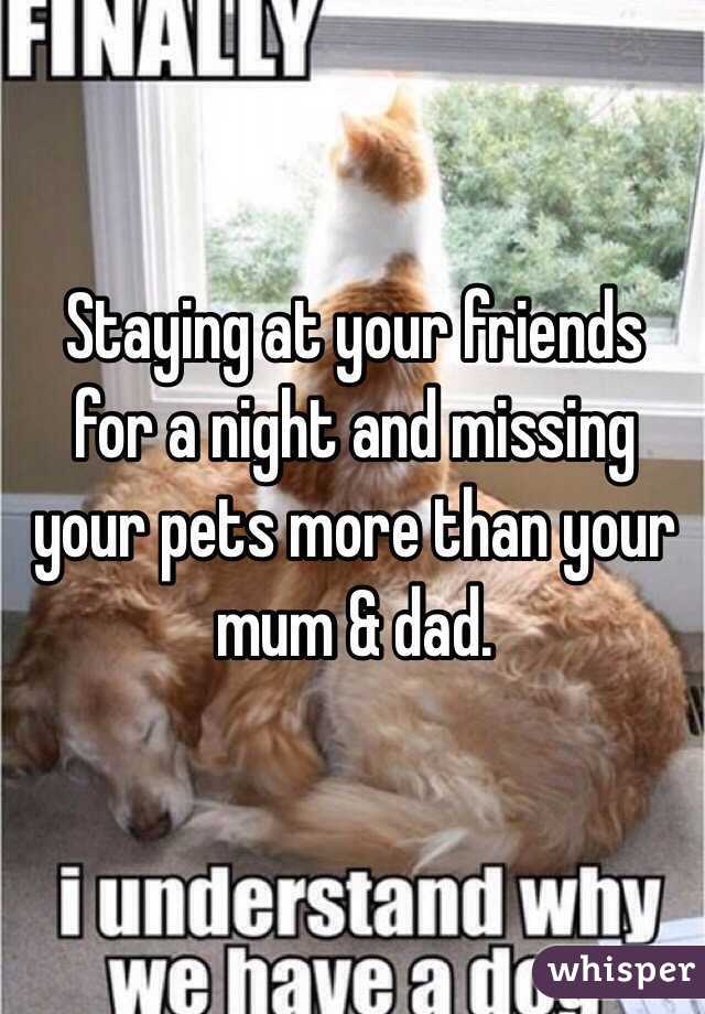 Staying at your friends for a night and missing your pets more than your mum & dad.