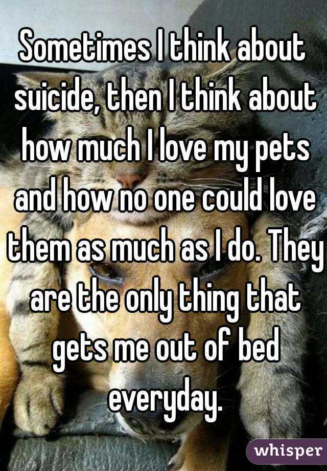 Sometimes I think about suicide, then I think about how much I love my pets and how no one could love them as much as I do. They are the only thing that gets me out of bed everyday.