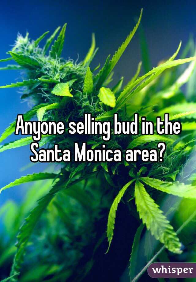 Anyone selling bud in the Santa Monica area?