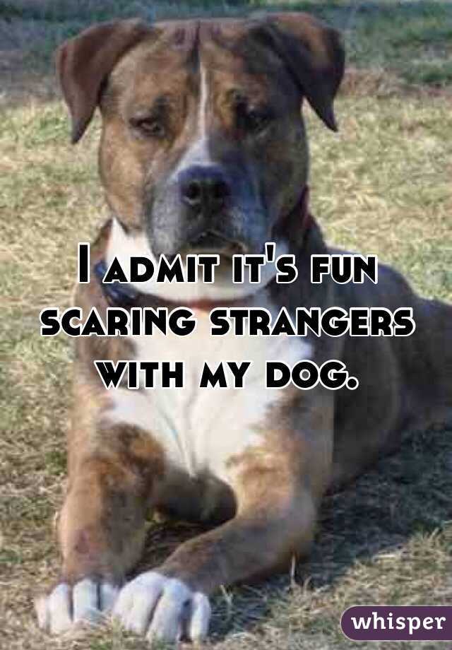 I admit it's fun scaring strangers with my dog.