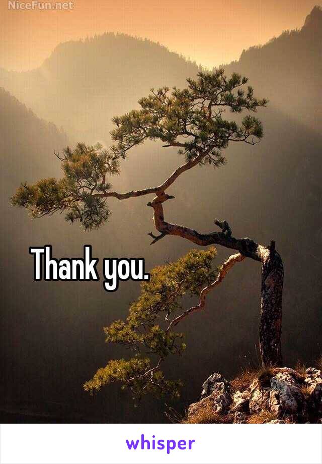 Thank you. 