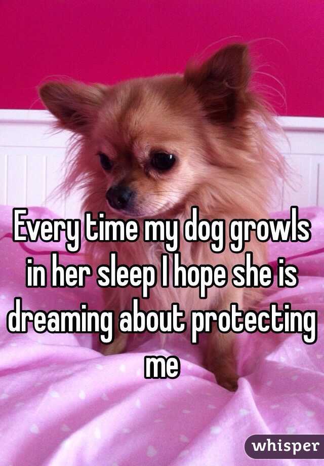 Every time my dog growls in her sleep I hope she is dreaming about protecting me