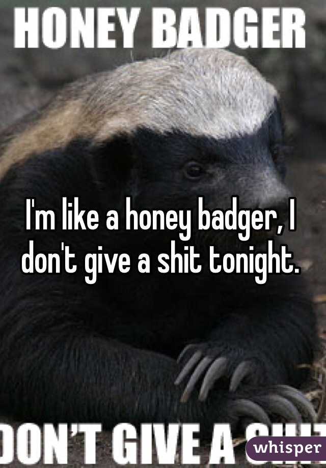 I'm like a honey badger, I don't give a shit tonight. 