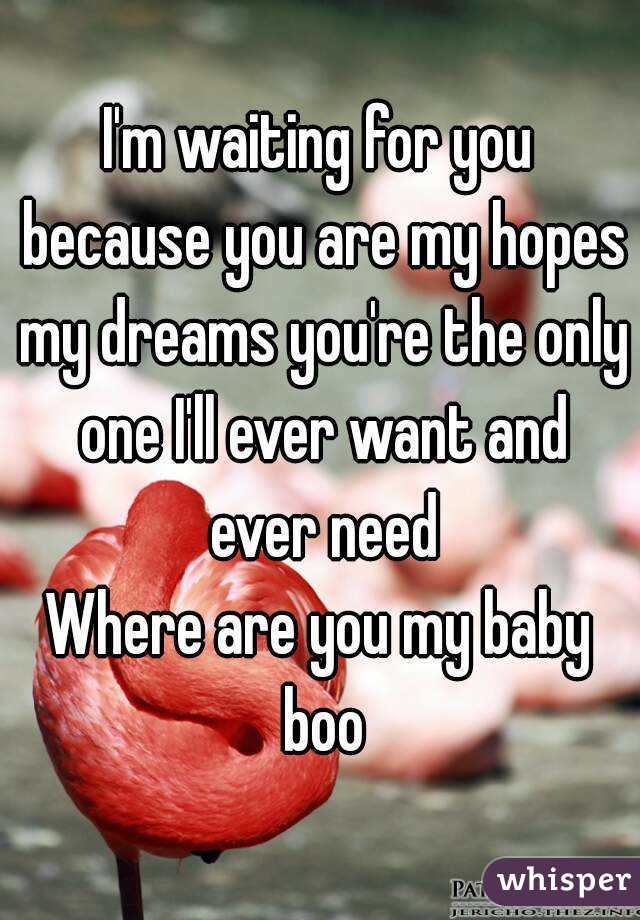 I'm waiting for you because you are my hopes my dreams you're the only one I'll ever want and ever need
Where are you my baby boo