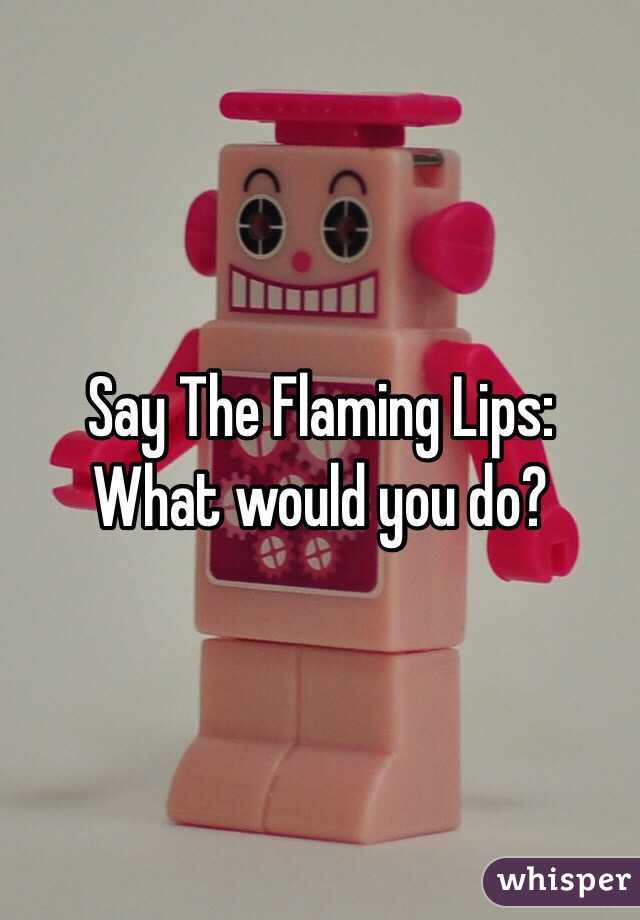 Say The Flaming Lips:
What would you do?