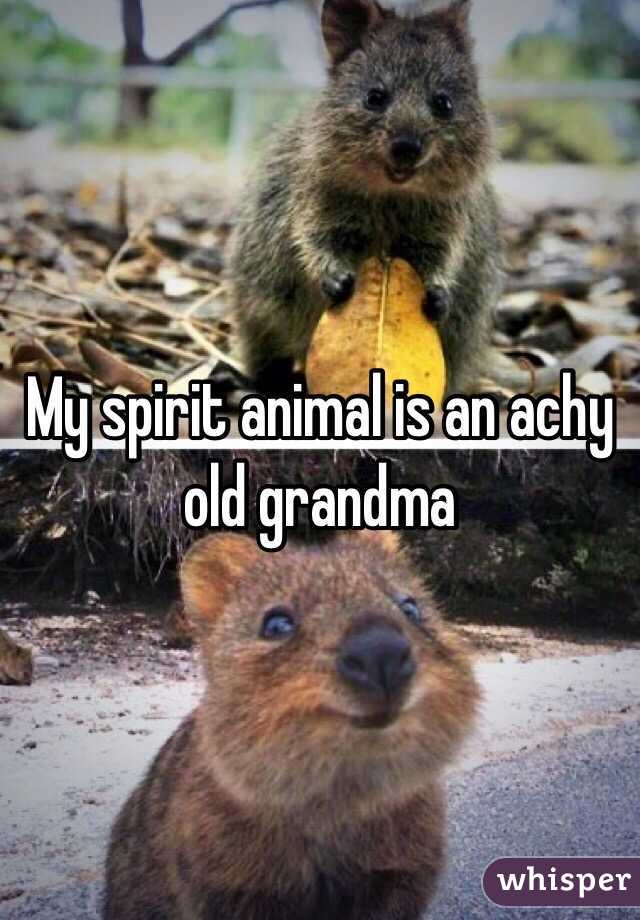 My spirit animal is an achy old grandma 