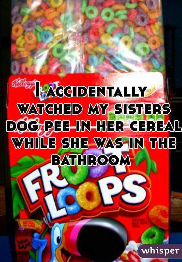 I accidentally watched my sisters dog pee in her cereal while she was in the bathroom 