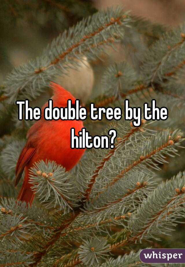 The double tree by the hilton?