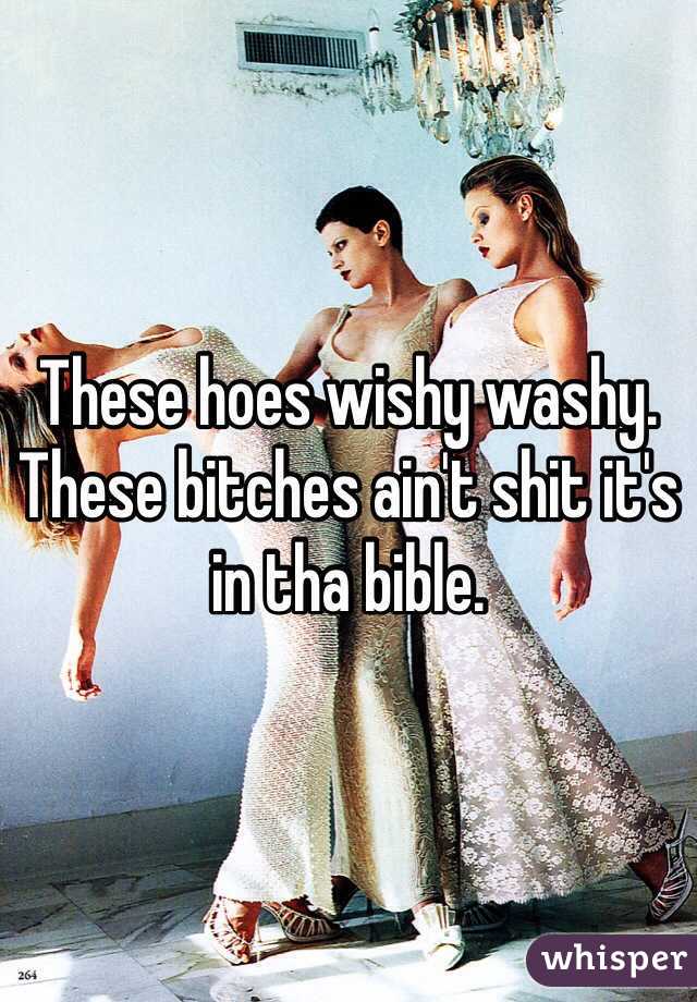 These hoes wishy washy. 
These bitches ain't shit it's in tha bible. 