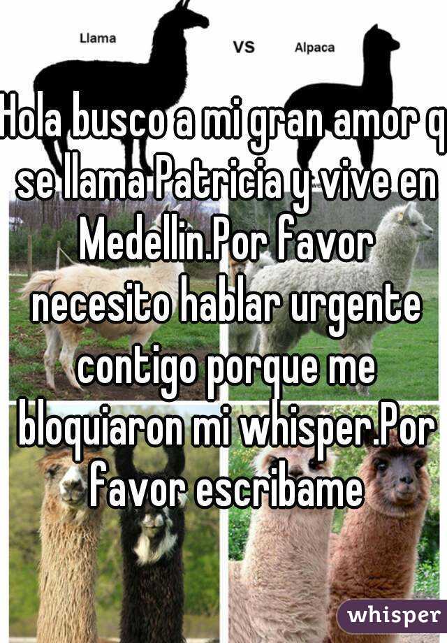 Hola busco a mi gran amor q se llama Patricia y vive en Medellin.Por favor necesito hablar urgente contigo porque me bloquiaron mi whisper.Por favor escribame