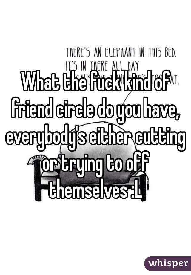 What the fuck kind of friend circle do you have, everybody's either cutting or trying to off themselves :L