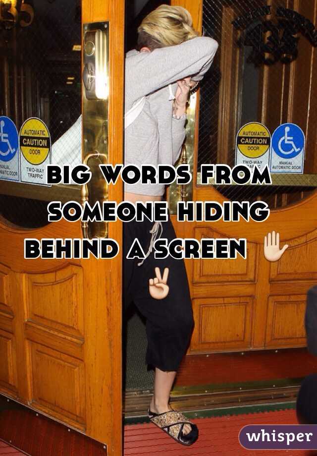 big words from someone hiding behind a screen ✋✌️