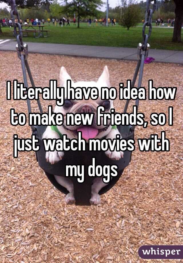 I literally have no idea how to make new friends, so I just watch movies with my dogs