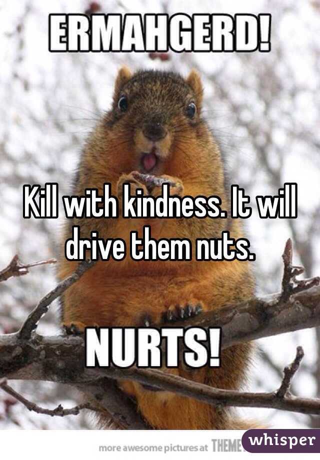 Kill with kindness. It will drive them nuts. 