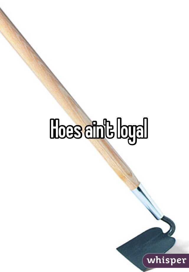 Hoes ain't loyal