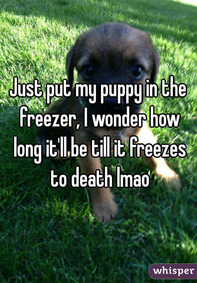 Just put my puppy in the freezer, I wonder how long it'll be till it freezes to death lmao