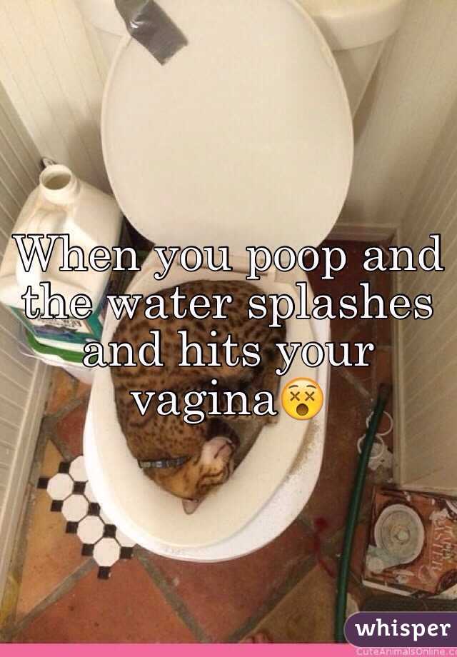 When you poop and the water splashes and hits your vagina😵   