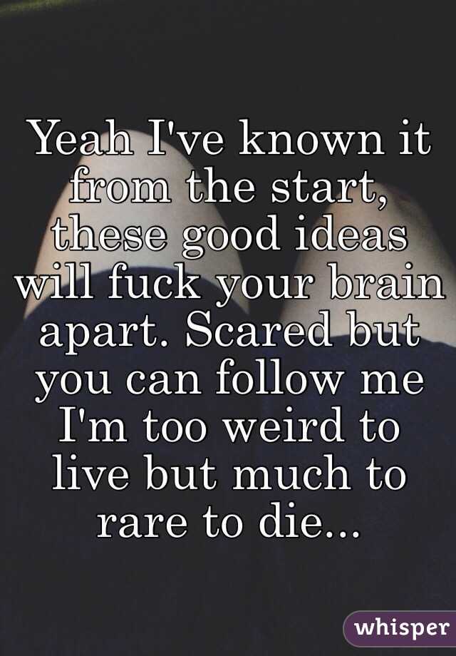 Yeah I've known it from the start, these good ideas will fuck your brain apart. Scared but you can follow me I'm too weird to live but much to rare to die...