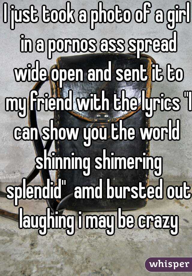 I just took a photo of a girl in a pornos ass spread wide open and sent it to my friend with the lyrics "I can show you the world  shinning shimering splendid"  amd bursted out laughing i may be crazy