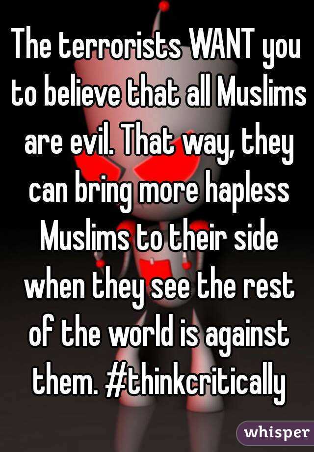 The terrorists WANT you to believe that all Muslims are evil. That way, they can bring more hapless Muslims to their side when they see the rest of the world is against them. #thinkcritically