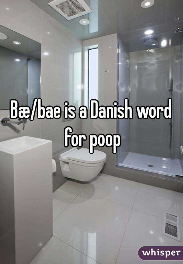 Bæ/bae is a Danish word for poop