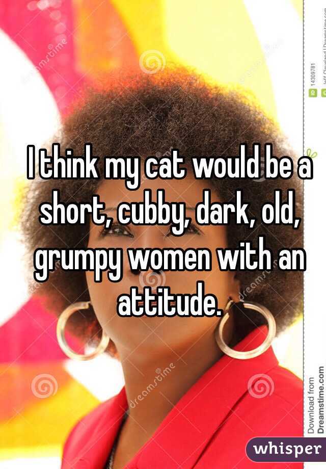 I think my cat would be a short, cubby, dark, old, grumpy women with an attitude. 