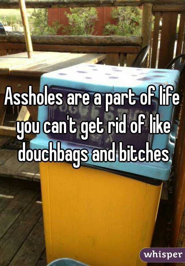 Assholes are a part of life you can't get rid of like douchbags and bitches