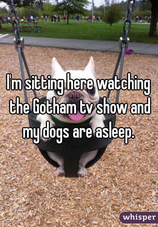 I'm sitting here watching the Gotham tv show and my dogs are asleep. 