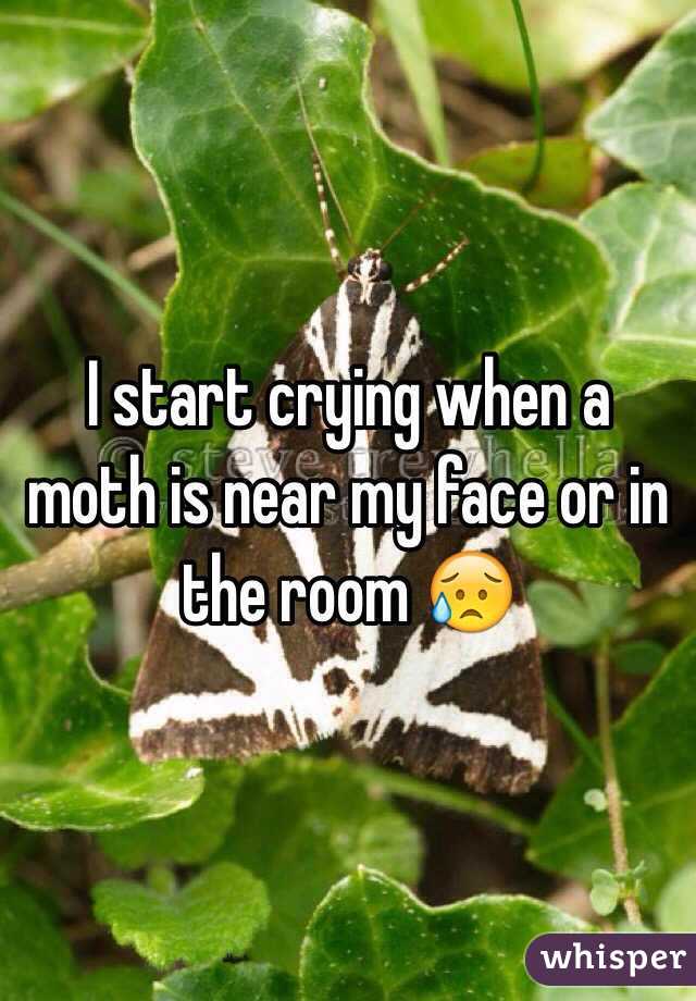 I start crying when a moth is near my face or in the room 😥