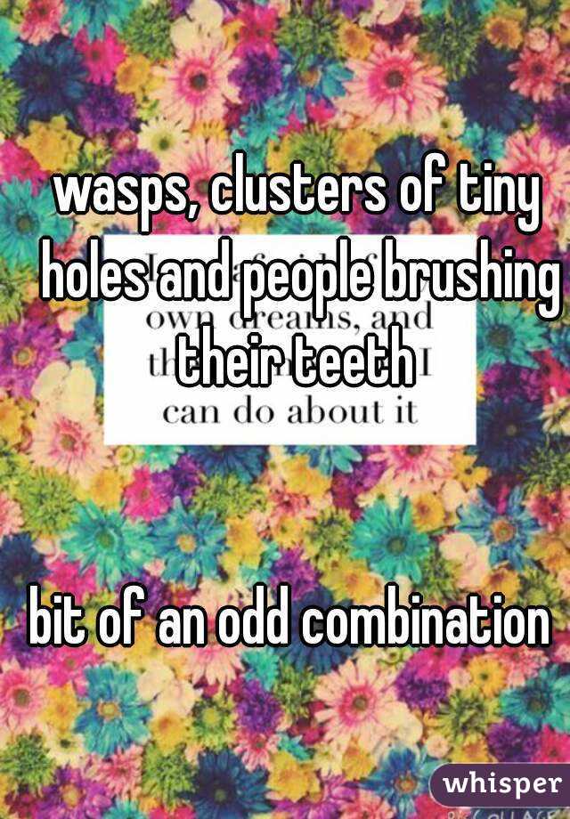 wasps, clusters of tiny holes and people brushing their teeth 


bit of an odd combination 
