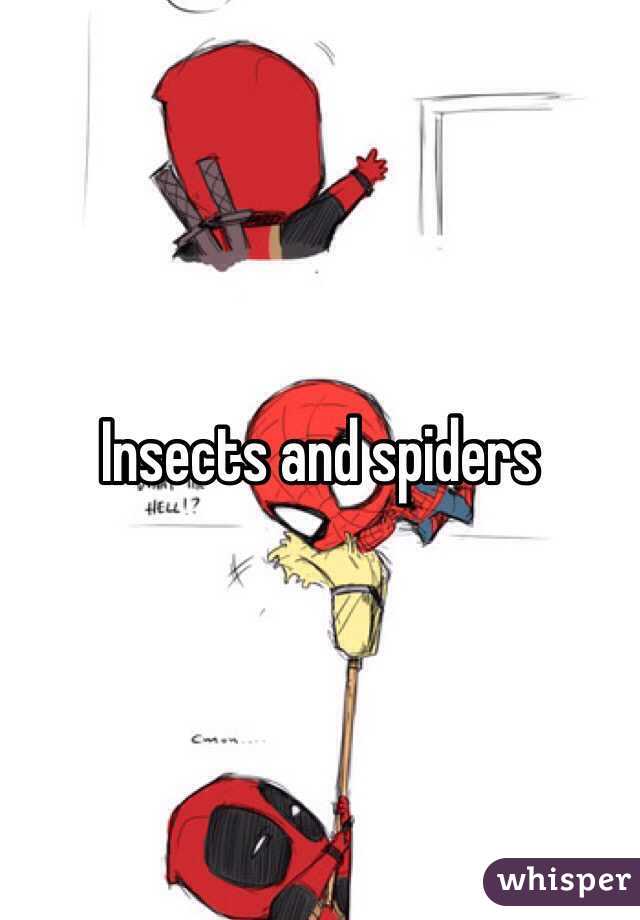 Insects and spiders