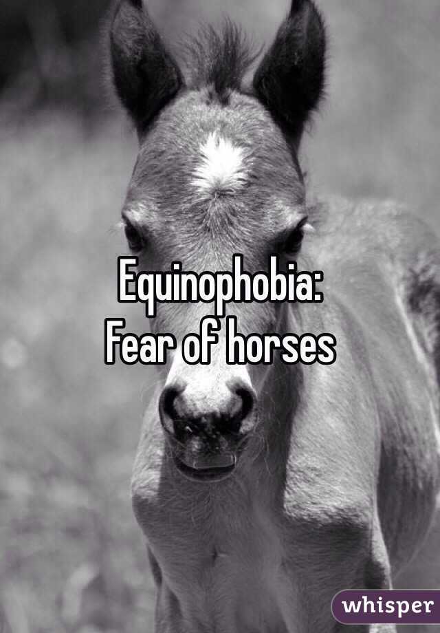 Equinophobia:
Fear of horses