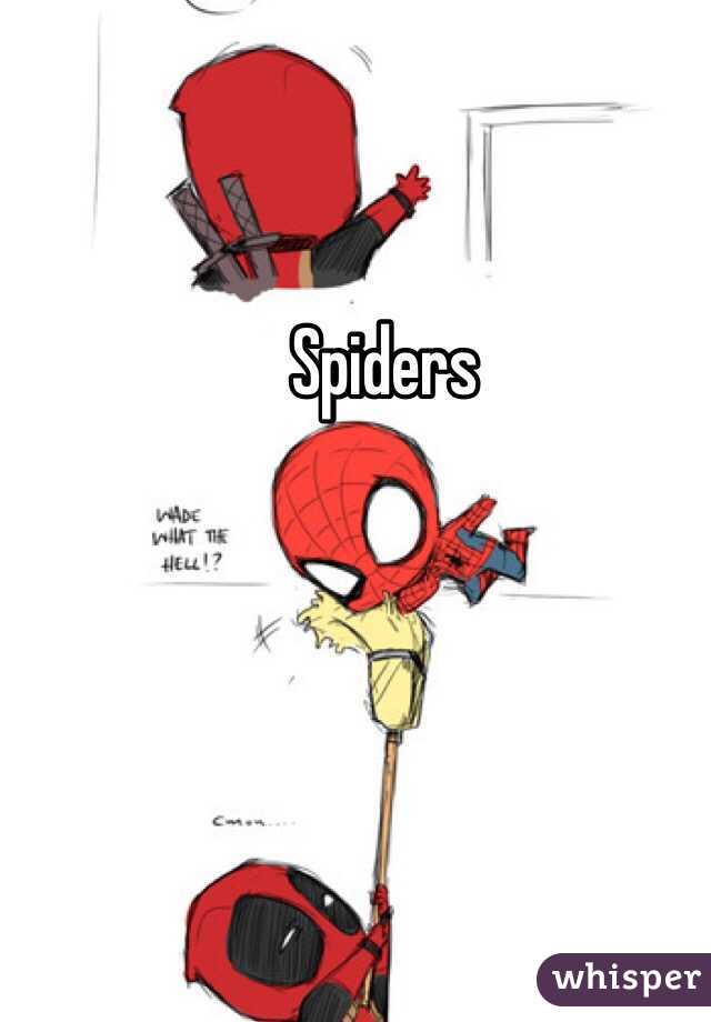 Spiders 