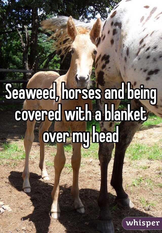 Seaweed, horses and being covered with a blanket over my head 